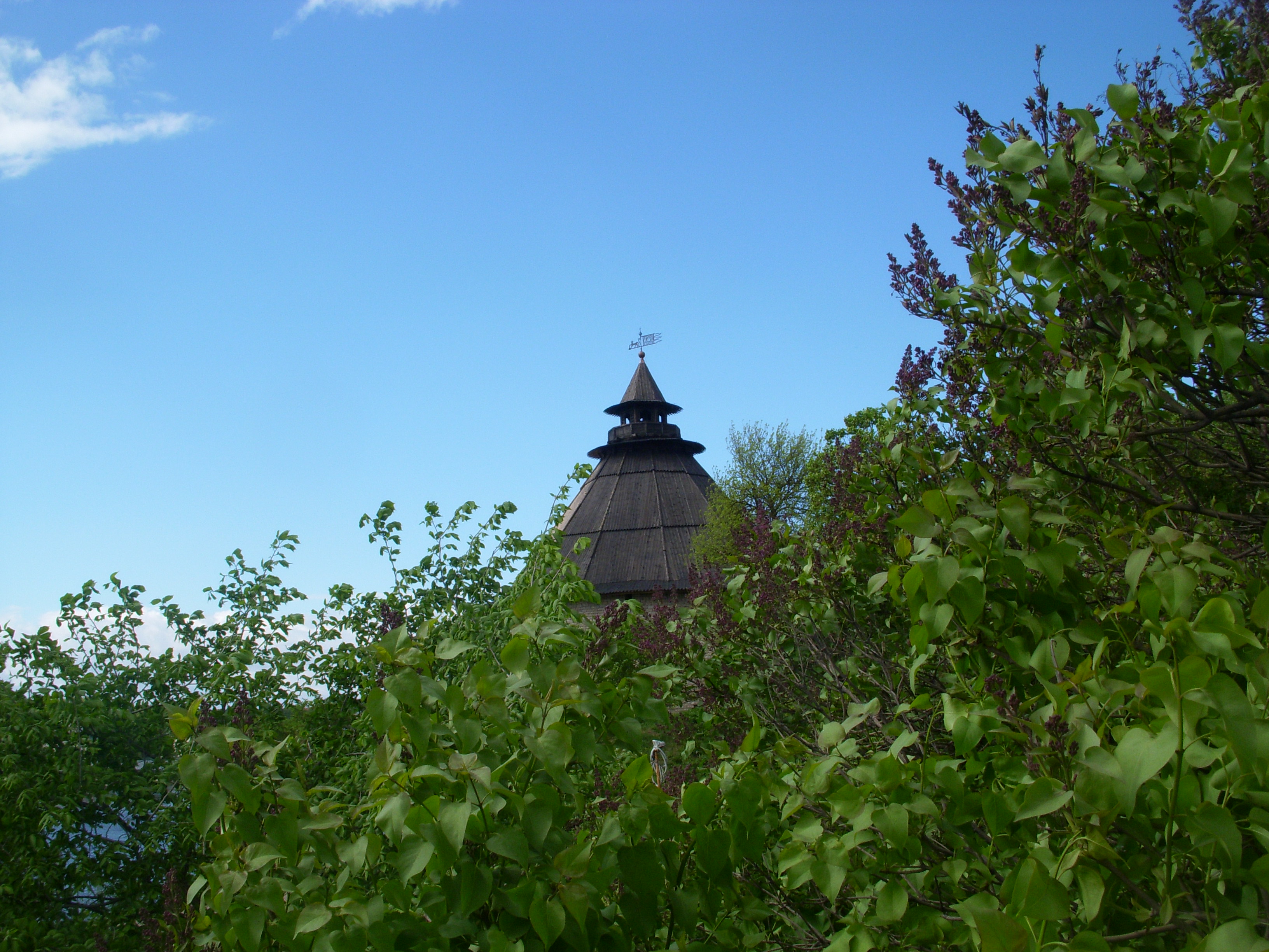 Покровка почернела. (Фото 1)