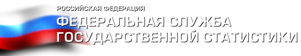 Главный статистик ООН: мы отмечаем эволюцию российской статистики (Фото 1)