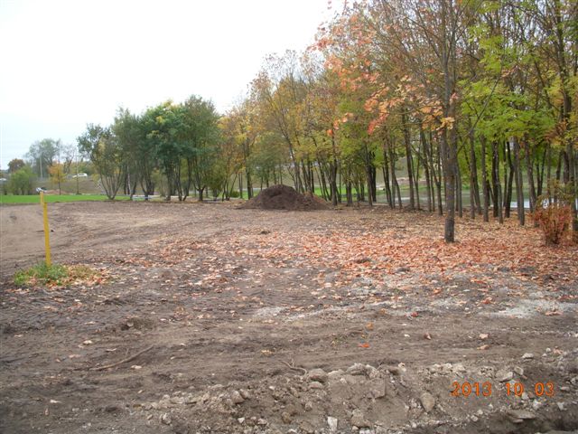 Октябрь в дендропарке у Мирожки. Фото. (Фото 1)