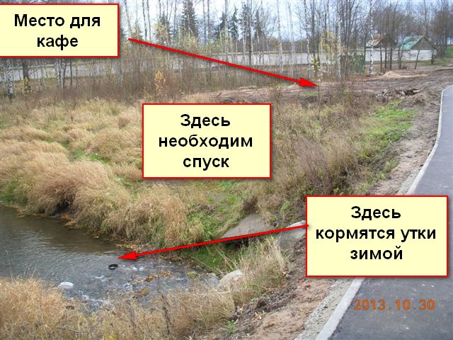 Мечтать никогда не поздно. (Фото 1)