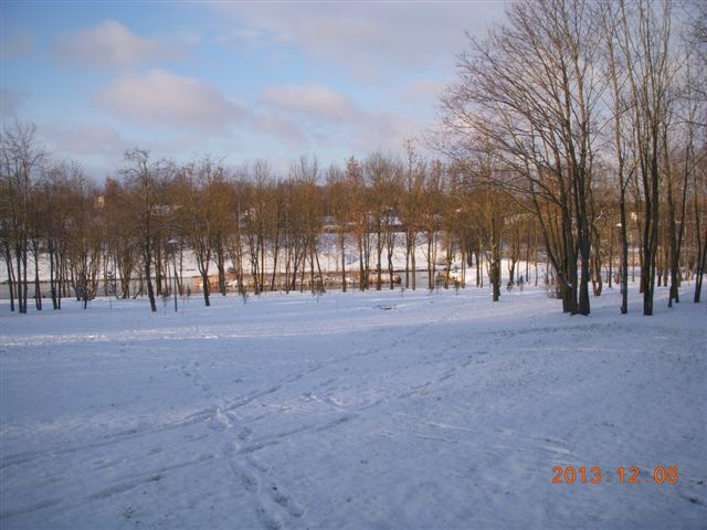 В воскресный день в дендропарке. (Фото 1)