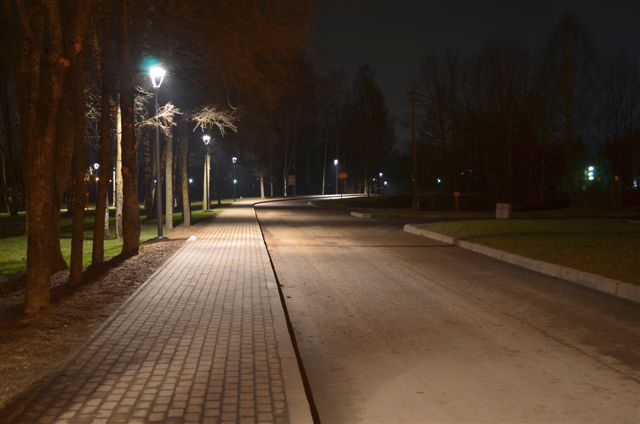 Ночной дендропарк. (Фото 1)