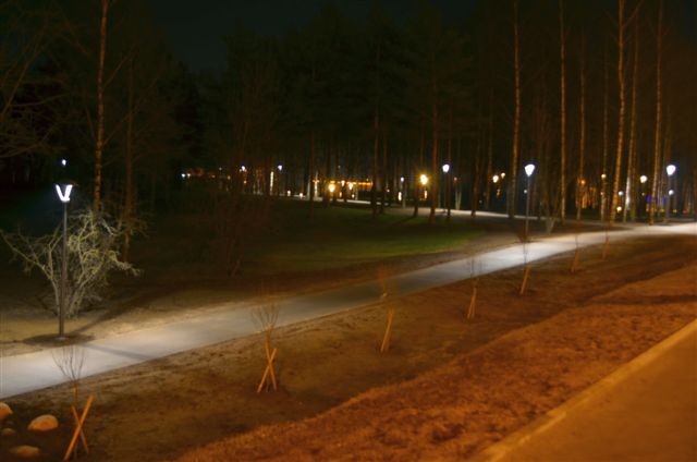 Ночной дендропарк. Фото. (Фото 1)