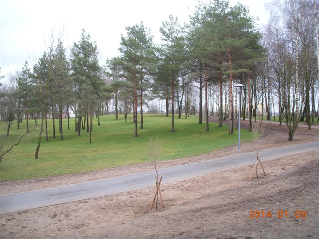 Январский дендропарк и уточки. (Фото 1)